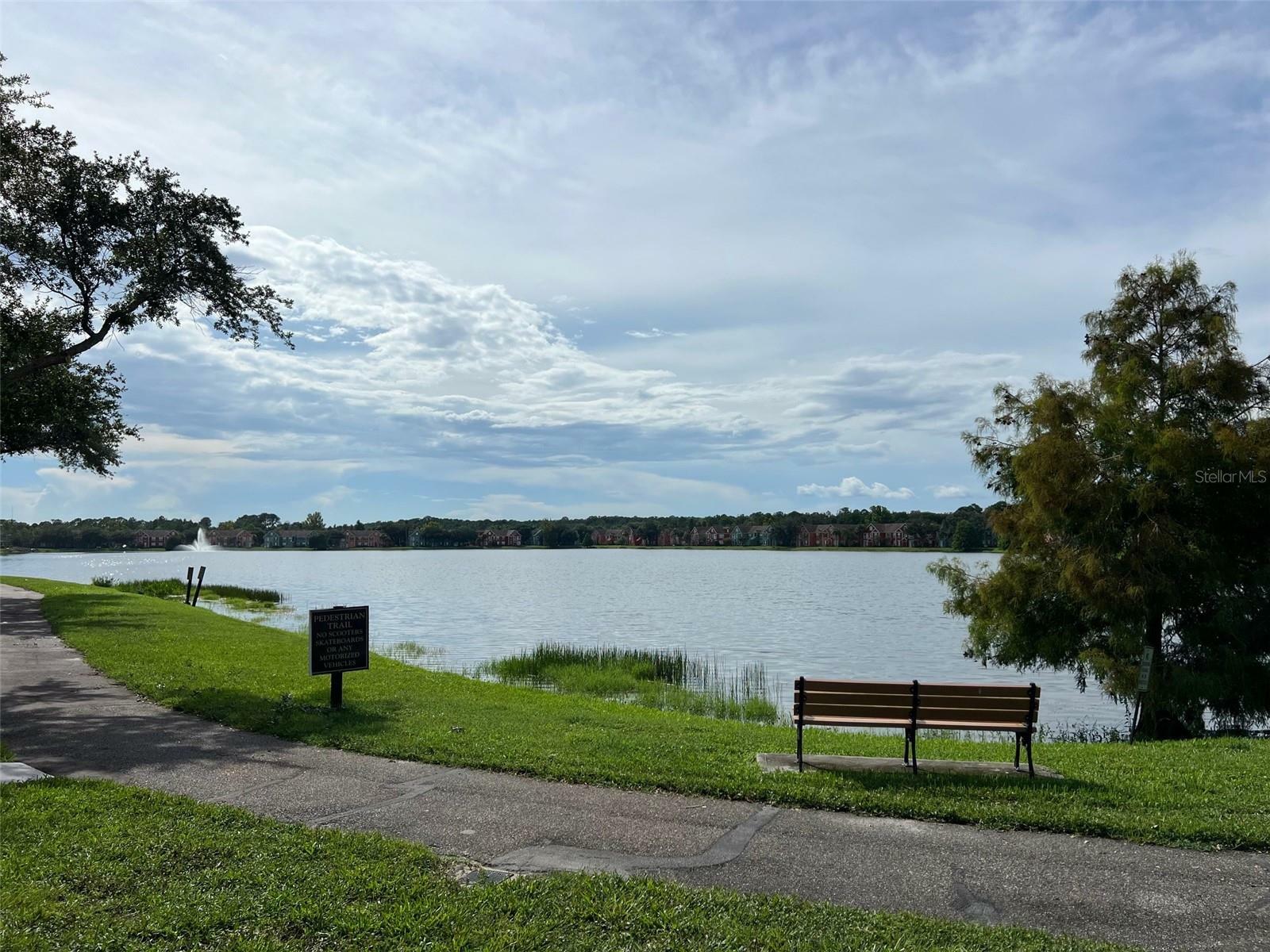 Property Photo:  9846 Lake Chase Island Way  FL 33626 