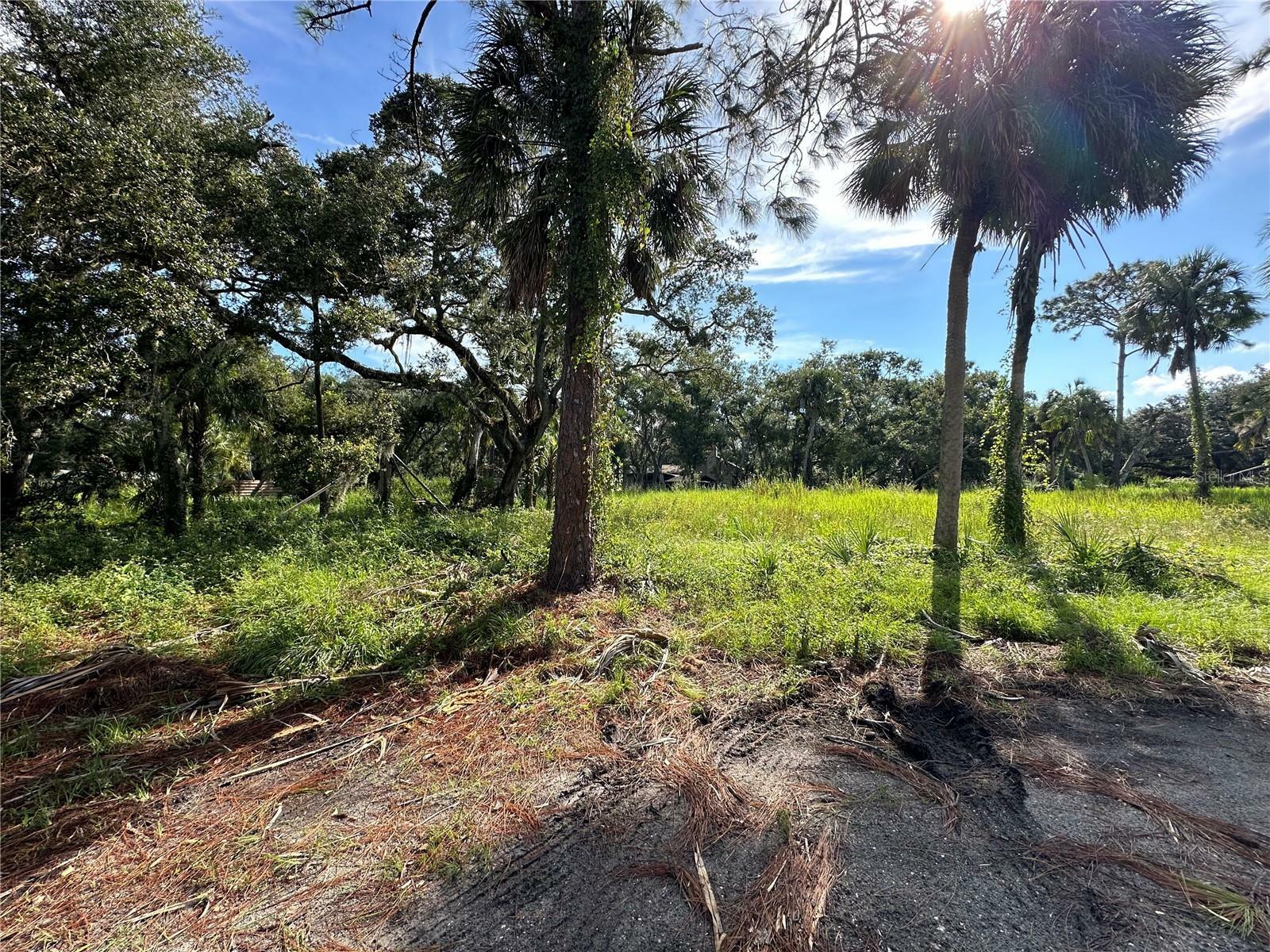 Property Photo:  1179 Mill Creek Road  FL 34212 