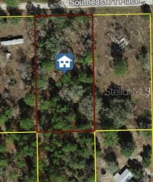 Property Photo:  Tbd SE 71st Pl  FL 32668 