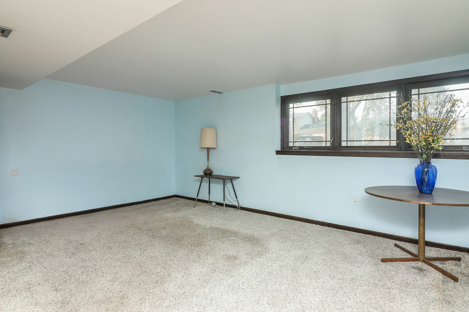 Property Photo:  116 Waxwing Avenue  IL 60565 