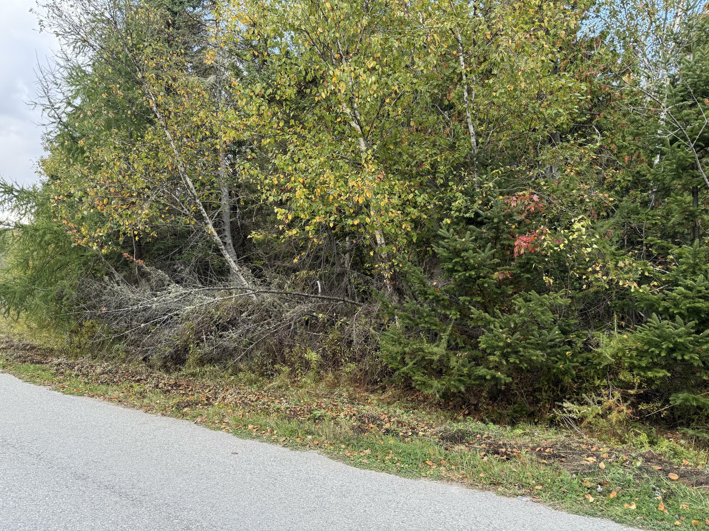 Property Photo:  Lot 13 Whale Cove Road  ME 04655 