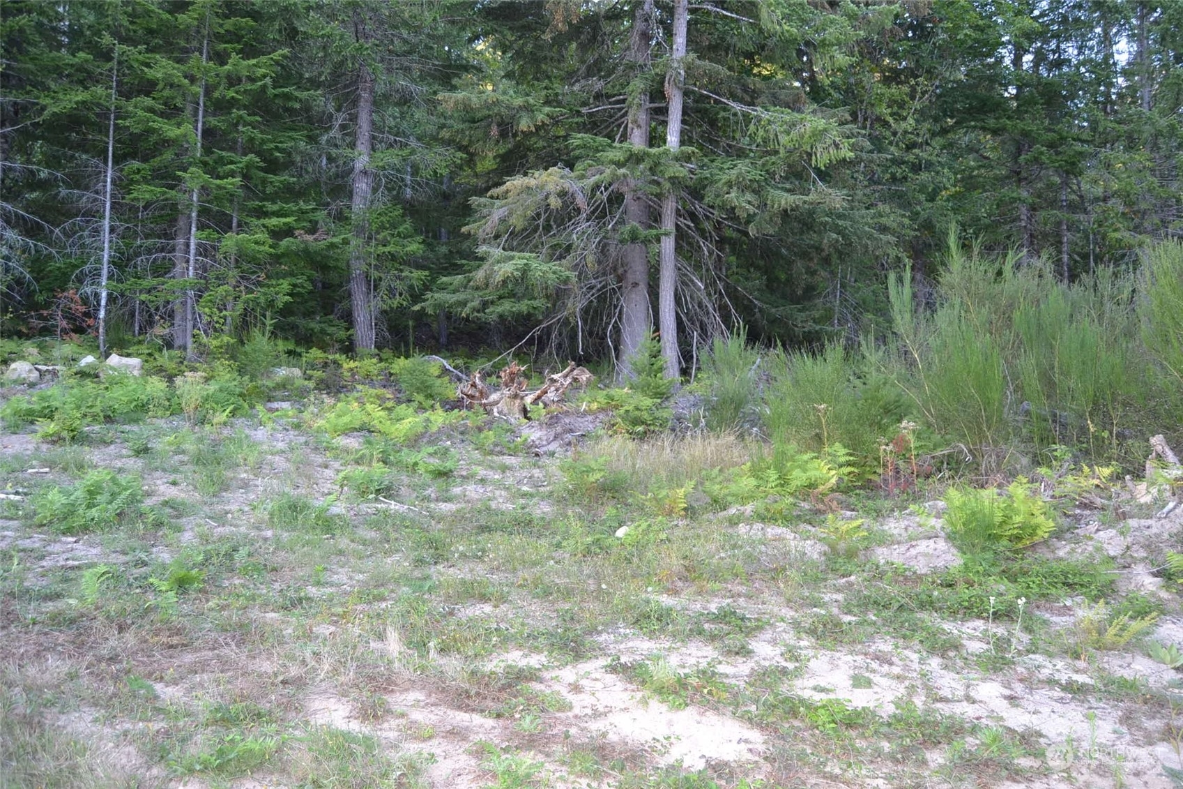 Property Photo:  0 S Skate Creek Rd.  WA 98361 