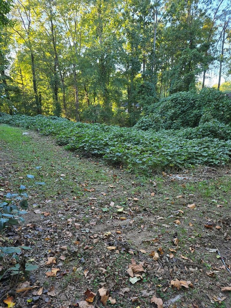 Property Photo:  0 Monterey Drve  GA 30721 