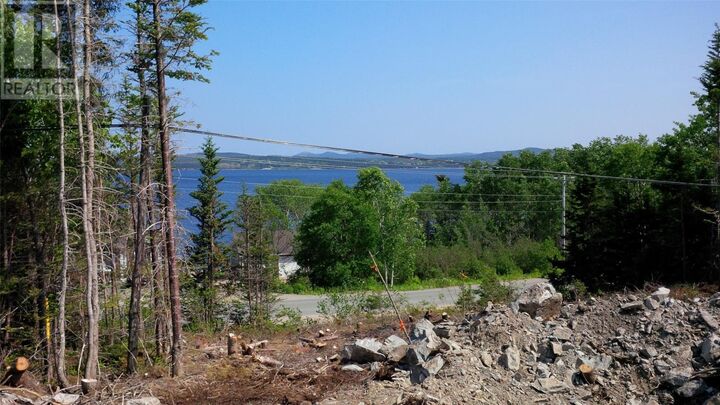 Property Photo:  321-325 Main Street North  NL A0G 2L0 