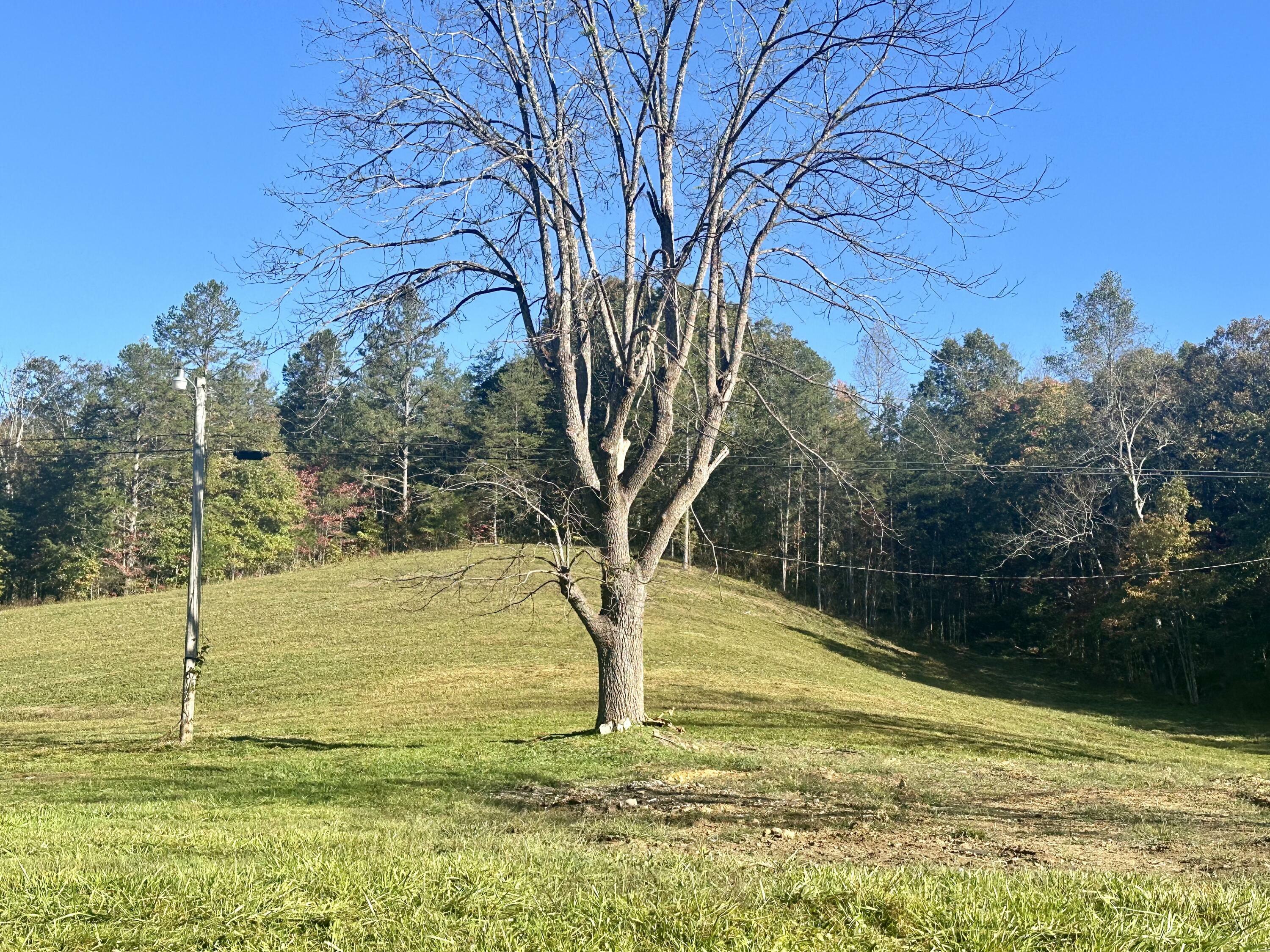 Property Photo:  424 West 577 Highway Tract 1  KY 40962 