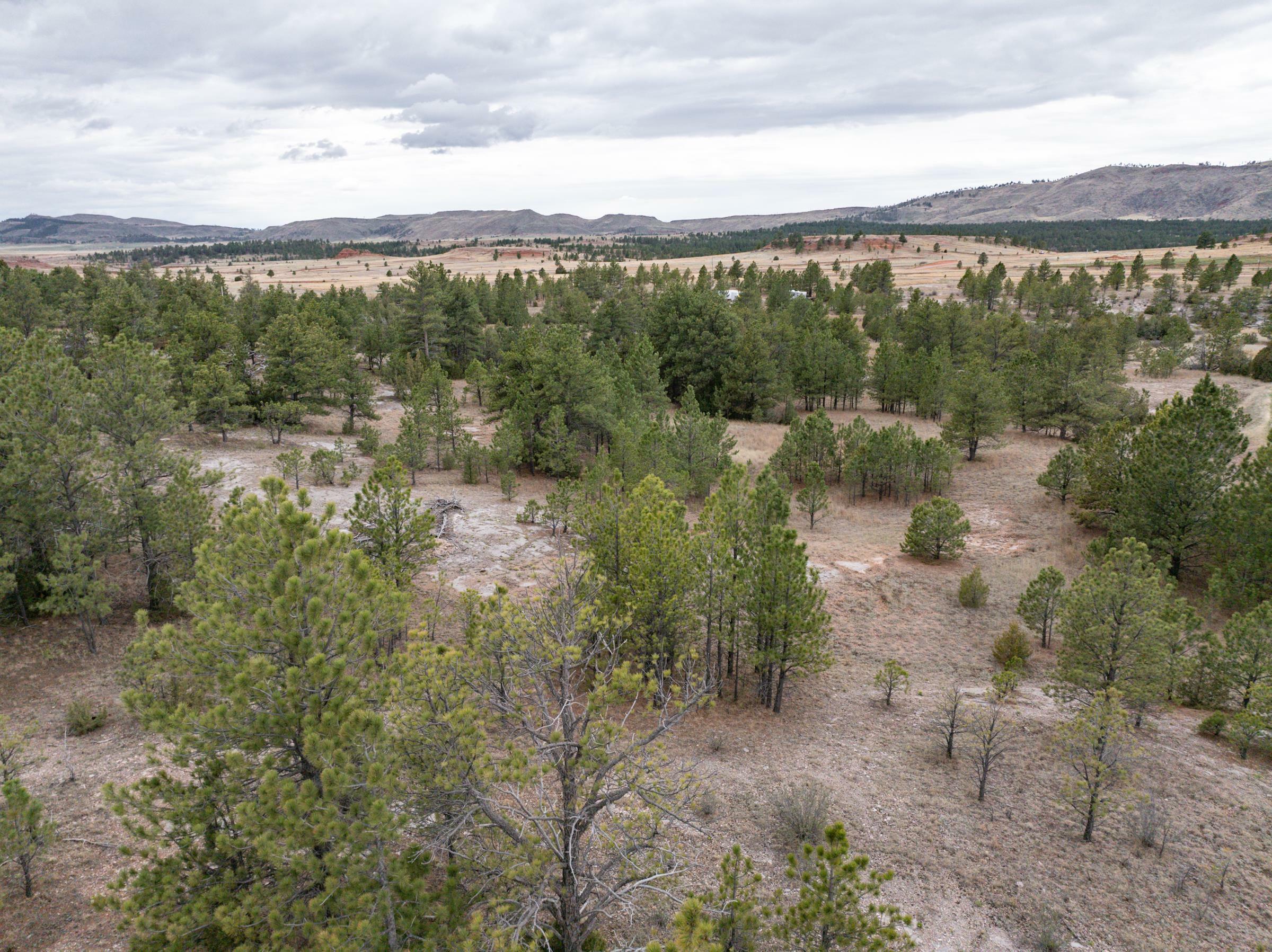 Tbd Timber Trail  Custer SD 57730 photo