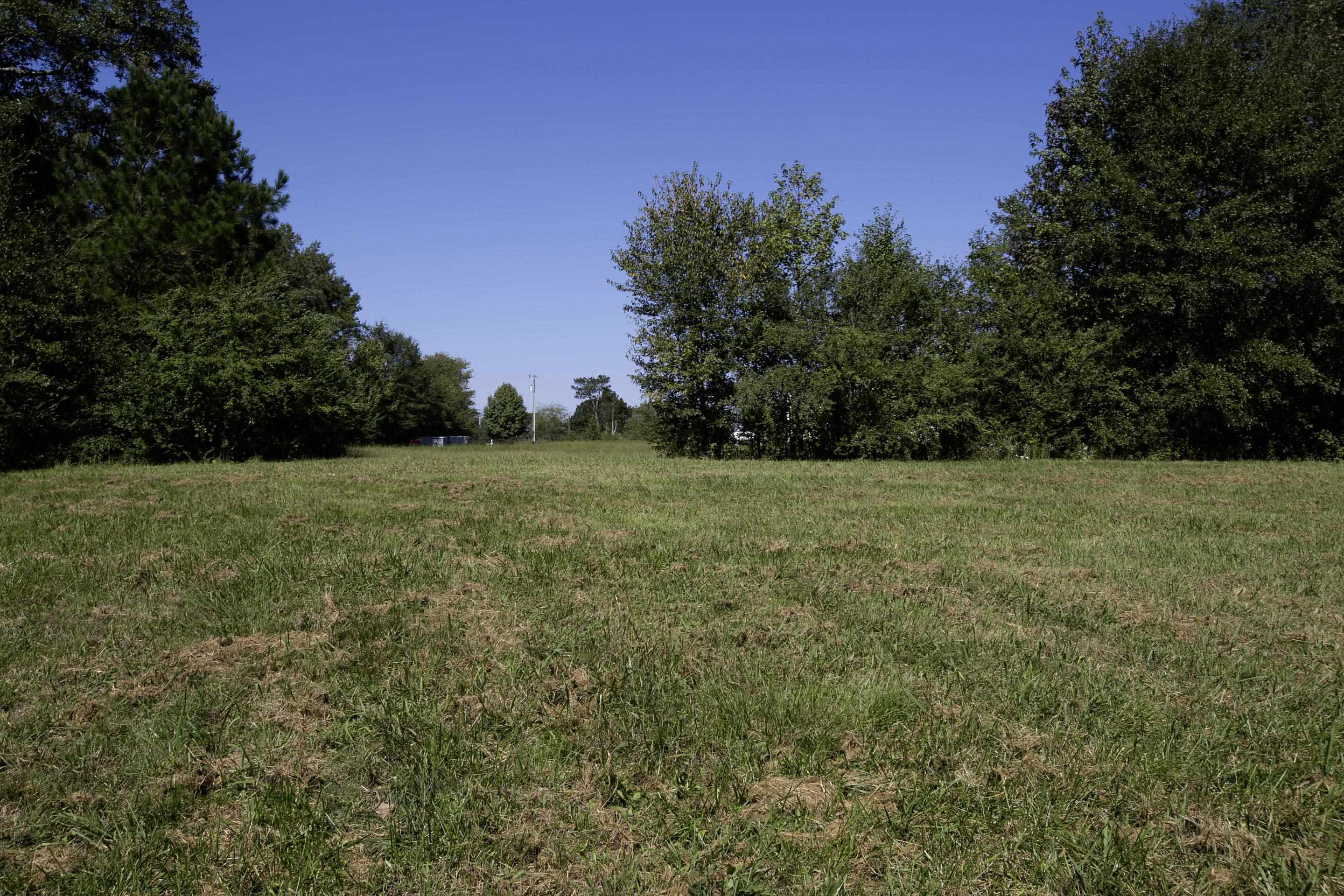 Property Photo:  Tbd Co Rd 571  AL 35077 - HANCEVIL 