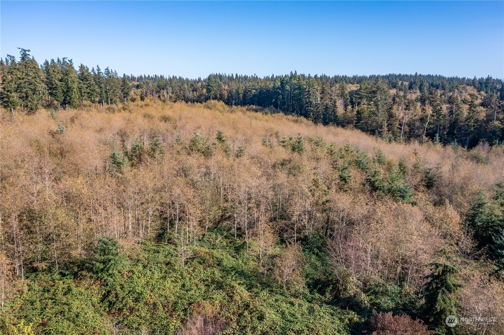 Property Photo:  0 000 Reservation Road  WA 98277 