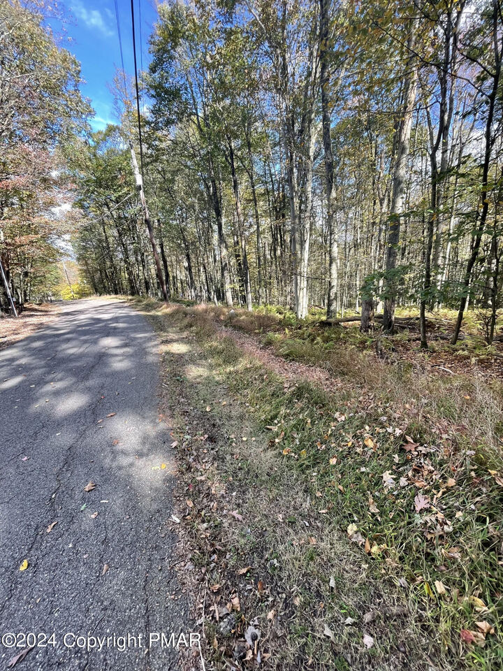 Property Photo: Mountain Ash Lane PA 18661
