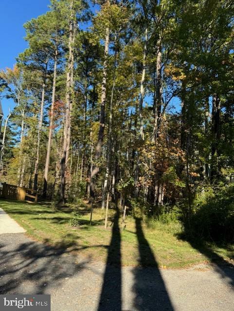 Property Photo:  Lot 8 Ackerman Drive  MD 21666 