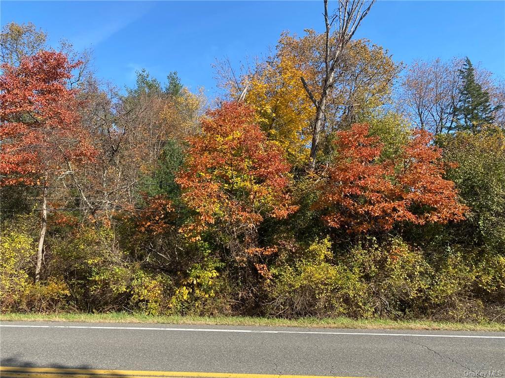 Property Photo: Beaver Rd (Jackson Crs) NY 12571