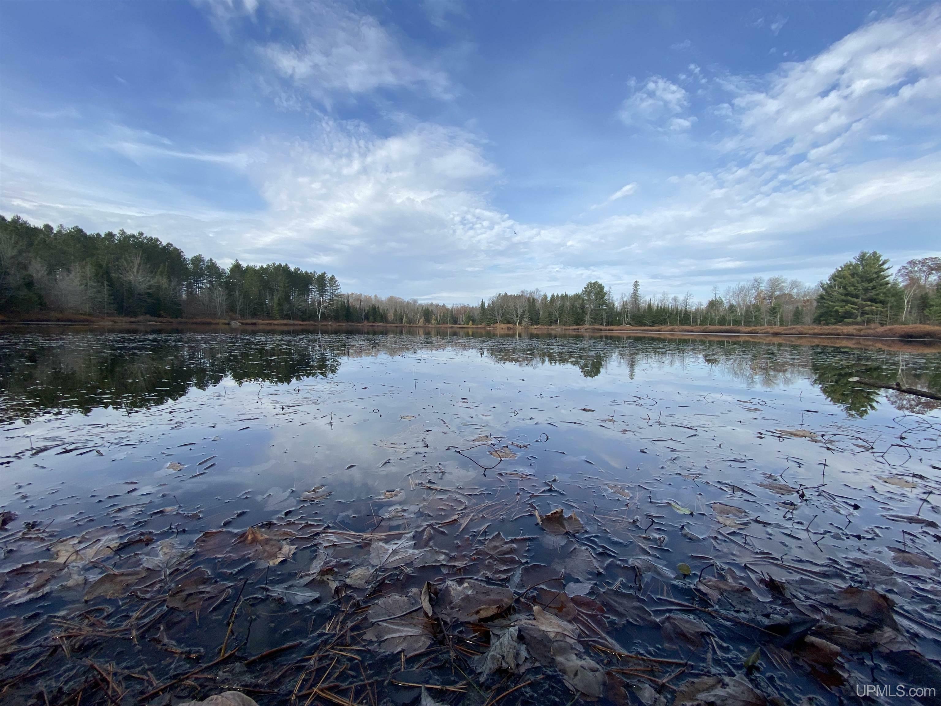 Property Photo:  34488 Bergland Road  MI 49947-1111 