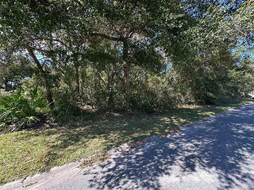 Property Photo:  96037 Sail Wind Way  FL 32097 