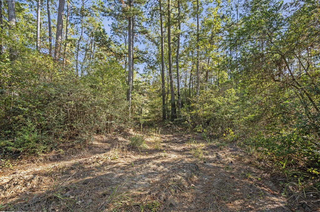 Property Photo:  R32307 Sandy Creek Road  TX 75980 