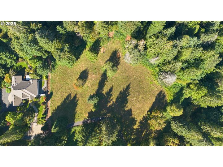 Property Photo: 0 Brown Rd 1 WA 98671
