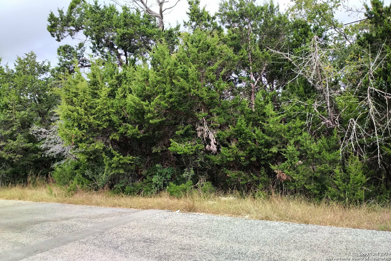 Property Photo:  355 Eagle Rock Rd  TX 78070 