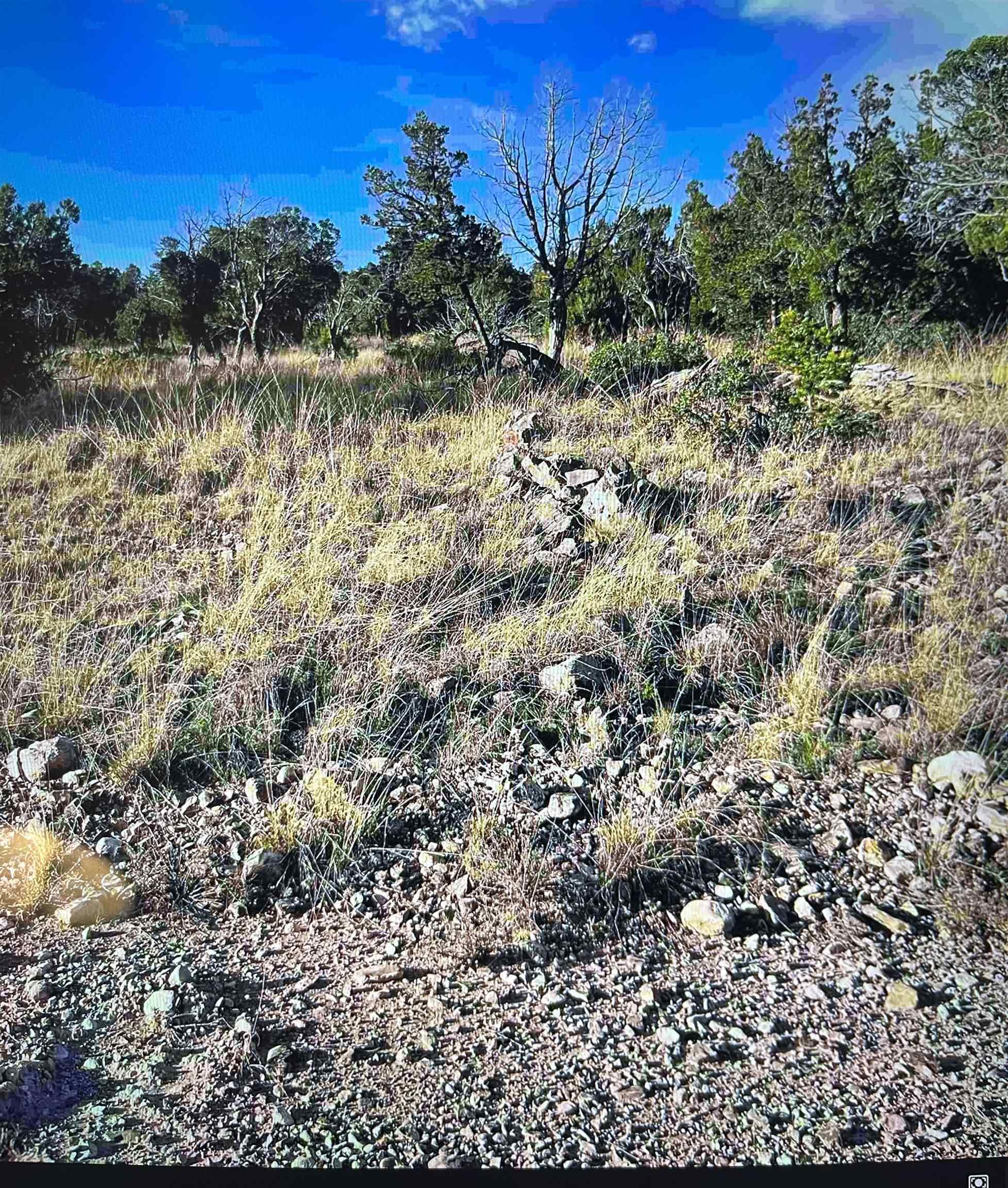 Property Photo:  7 Bacon Dr  NM 88350 