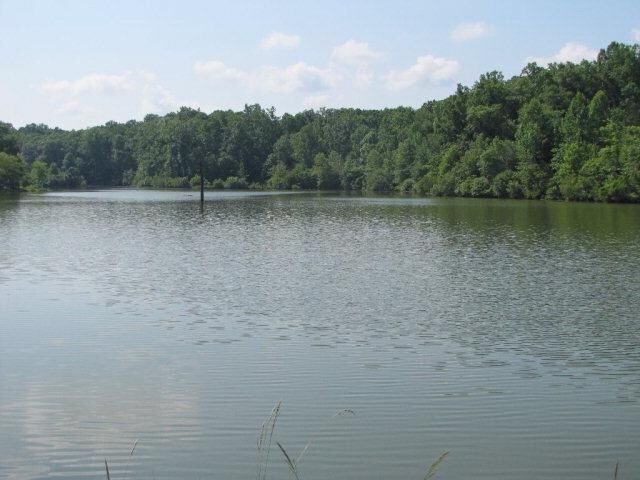 Property Photo: 7715 Lynch Road GA 31820
