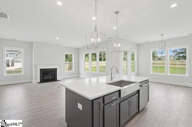 Property Photo: 203 Dumain Court SC 29673