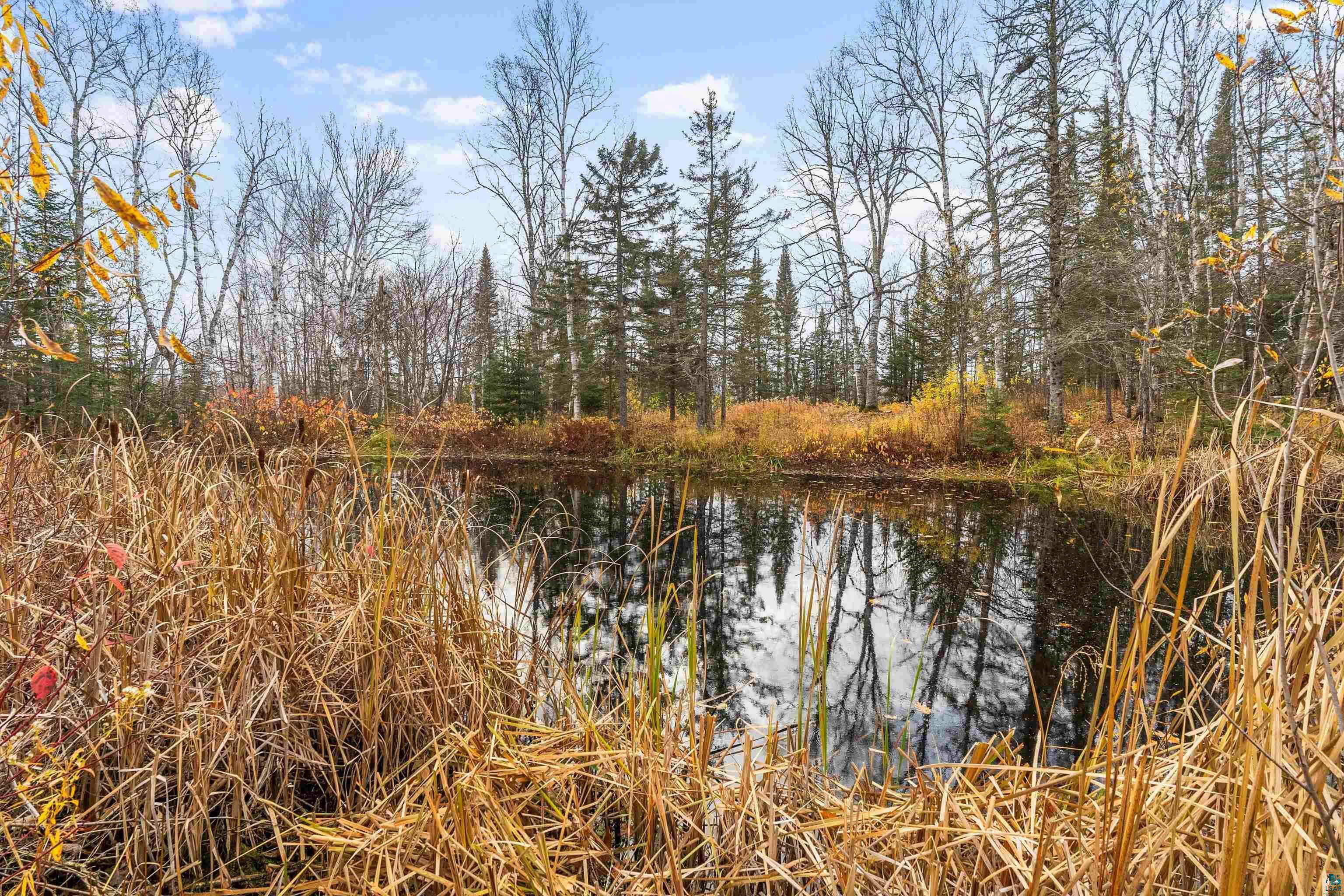 Property Photo:  451 Lindskog Rd  MN 55604 