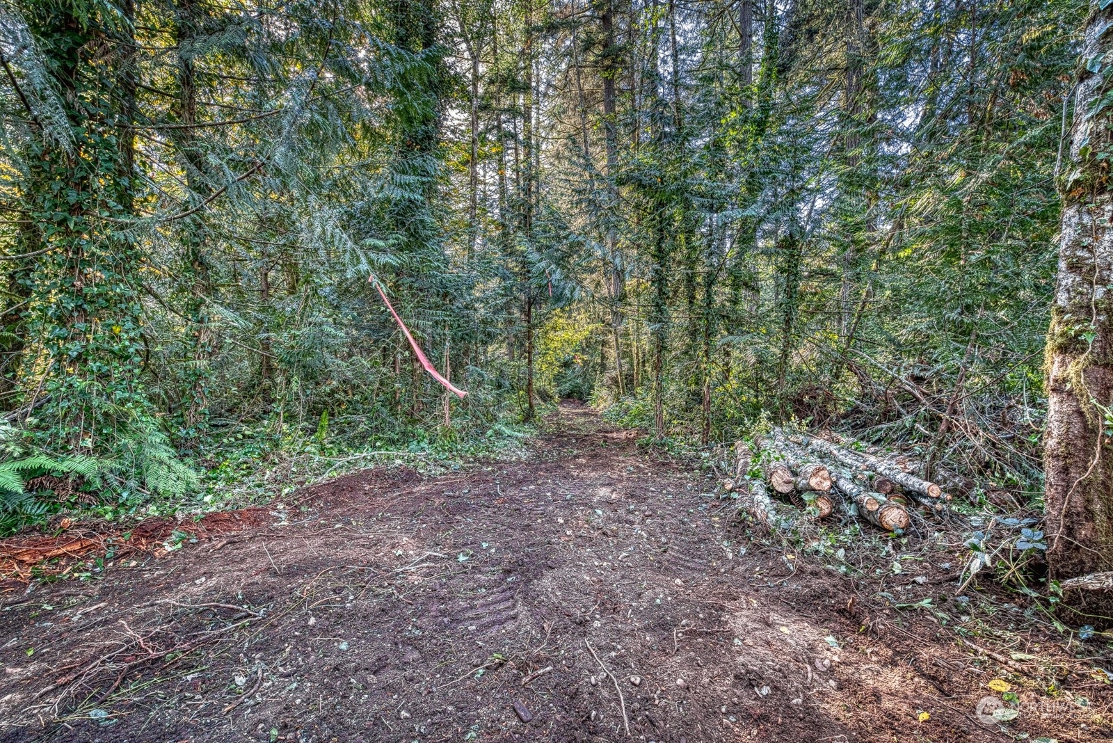 Property Photo:  4820  69th Street NW  WA 98335 