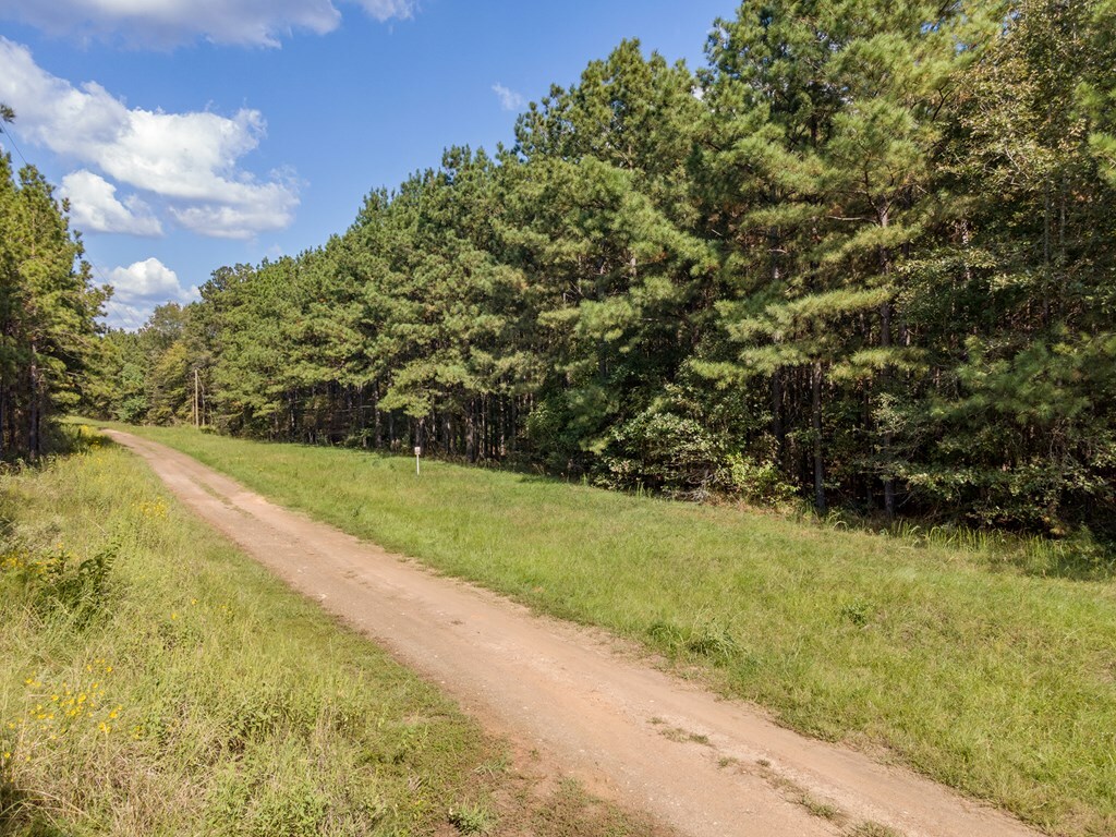 Property Photo:  Parcel #28382 County Road 403  TX 75972 