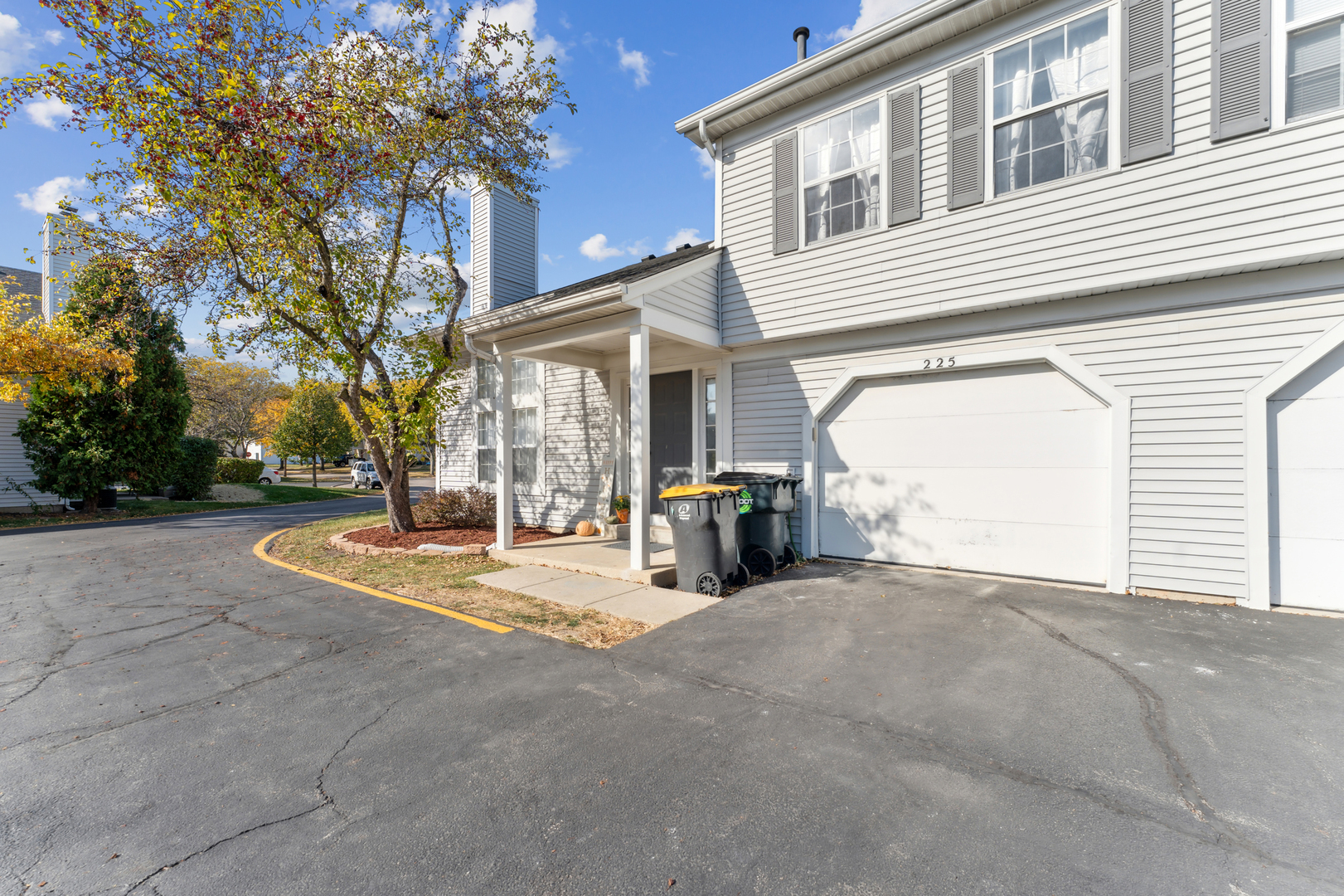 Property Photo:  225 Ivy Court 225  IL 60107 