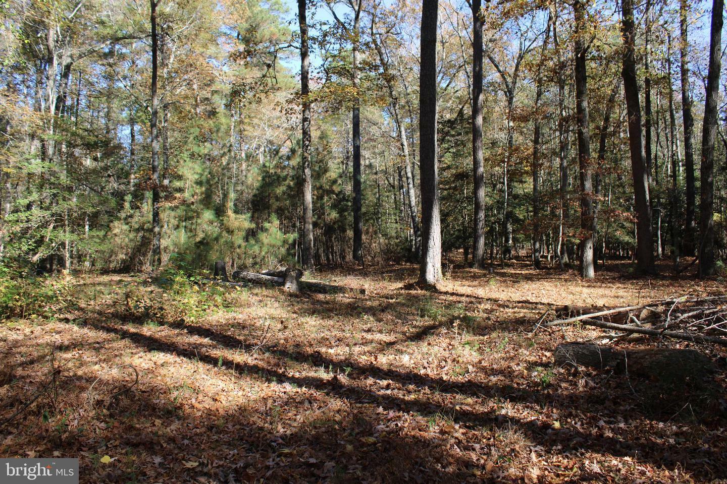 Property Photo:  0 Croppers Island Road Lot 15  MD 21841 