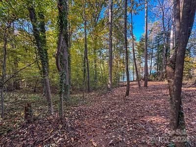 Property Photo:  7124 Nancy Lee Circle  NC 28673 