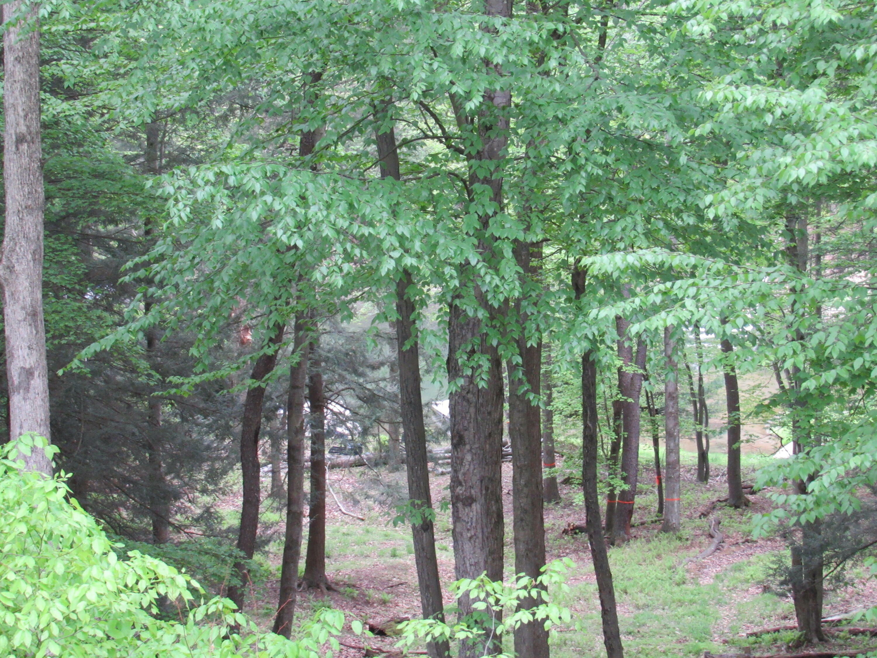 Property Photo: 2727 Carribean Rd PA 15801