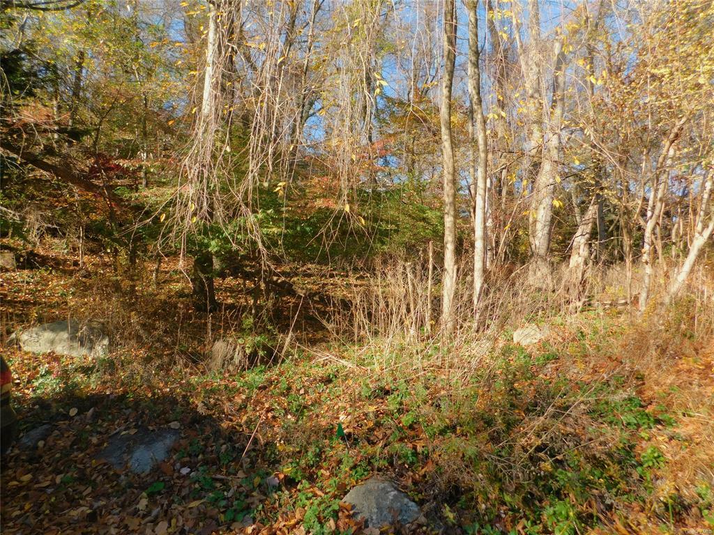 Property Photo:  Lot 25 Enloe Street  NY 10537 