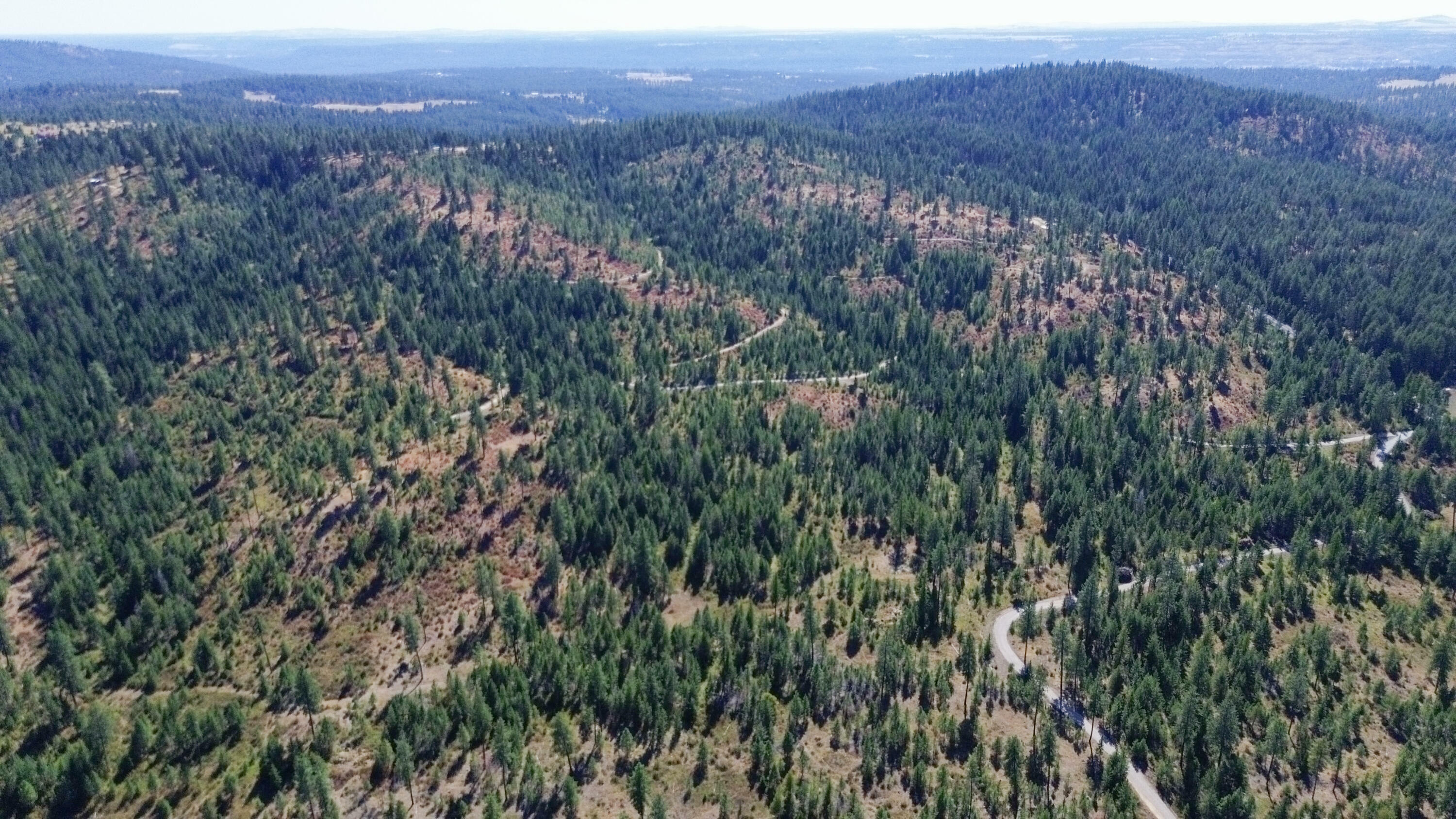 Property Photo:  52xx Lot 5 S Swenson Rd  WA 99006 