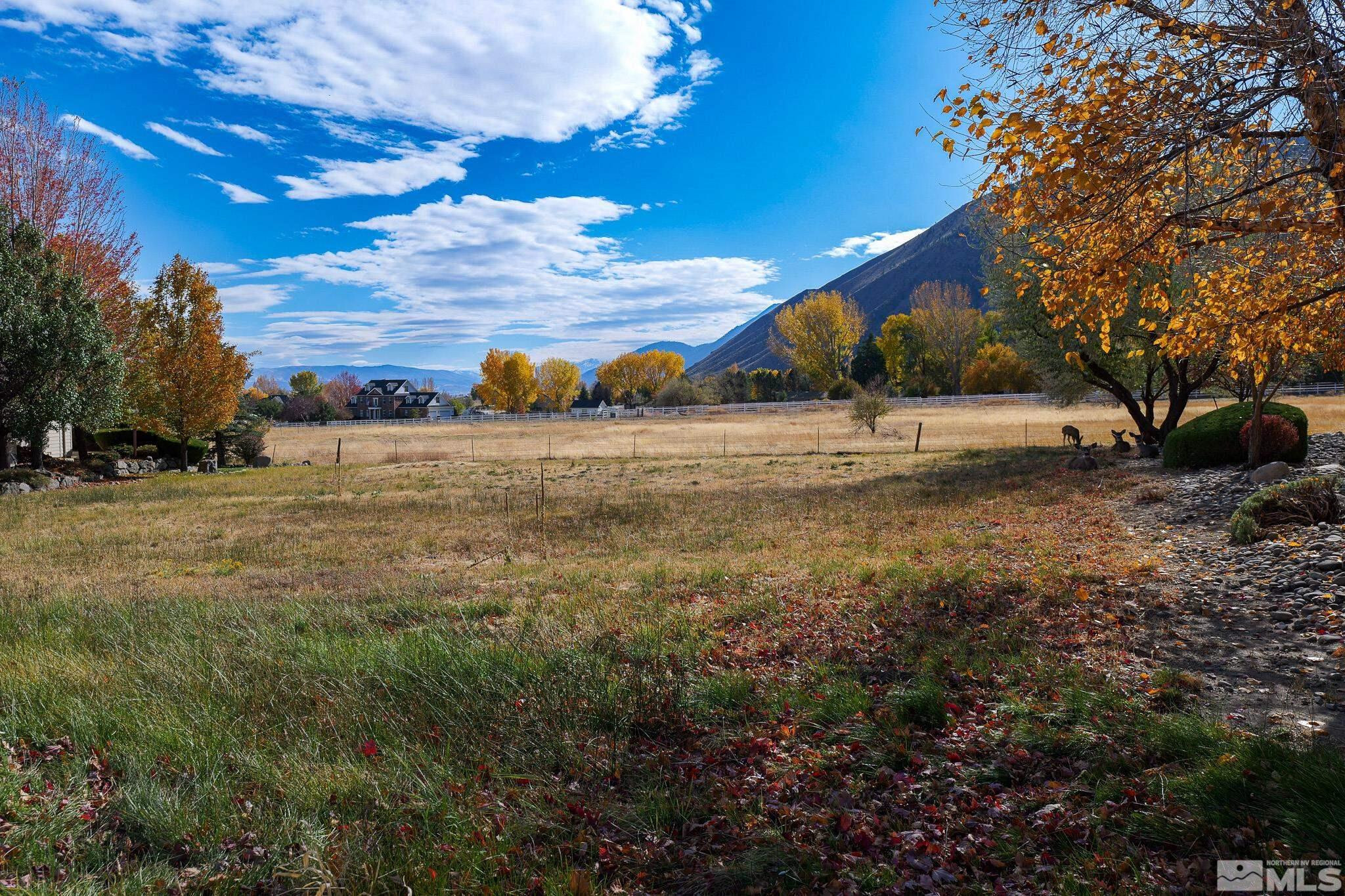 Property Photo:  275 Genoa Highlands Circle  NV 89411 
