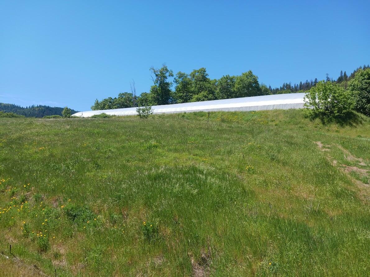 Property Photo: 14855 E Evan'S Creek Road Road OR 97537
