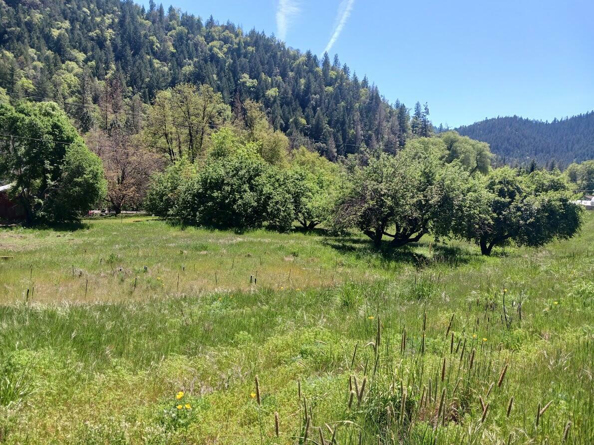 Property Photo: 14855 E Evan'S Creek Road Road OR 97537