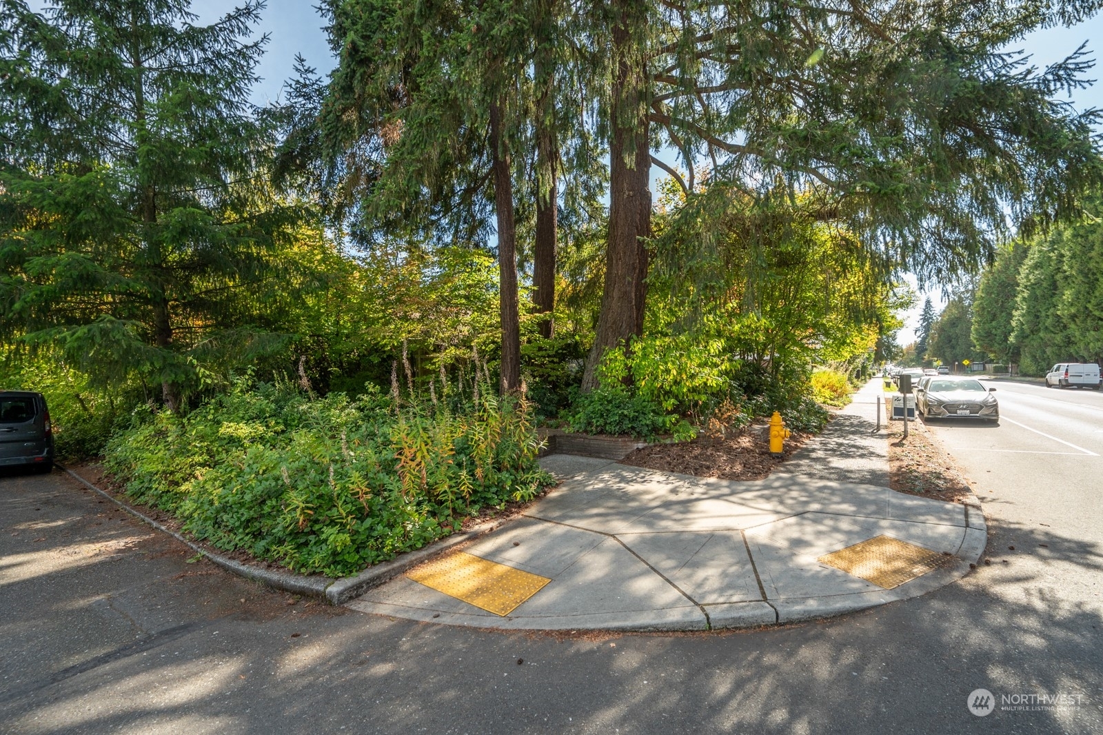 Property Photo:  8050 35th Avenue NE  WA 98115 