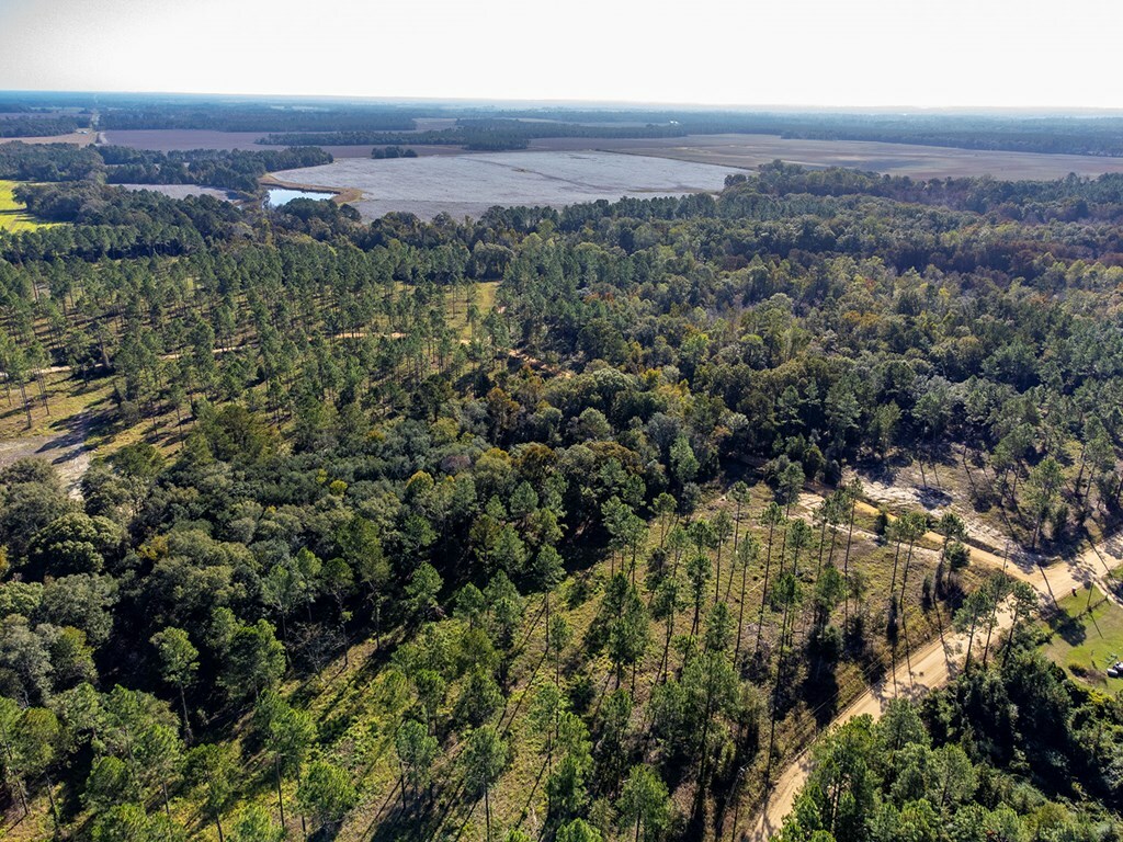 Property Photo:  19X Largemouth Drive  GA 31791 