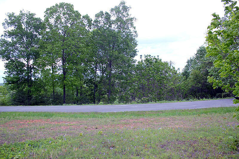 Property Photo:  Lot 100 Cumberland Shores  KY 42633 