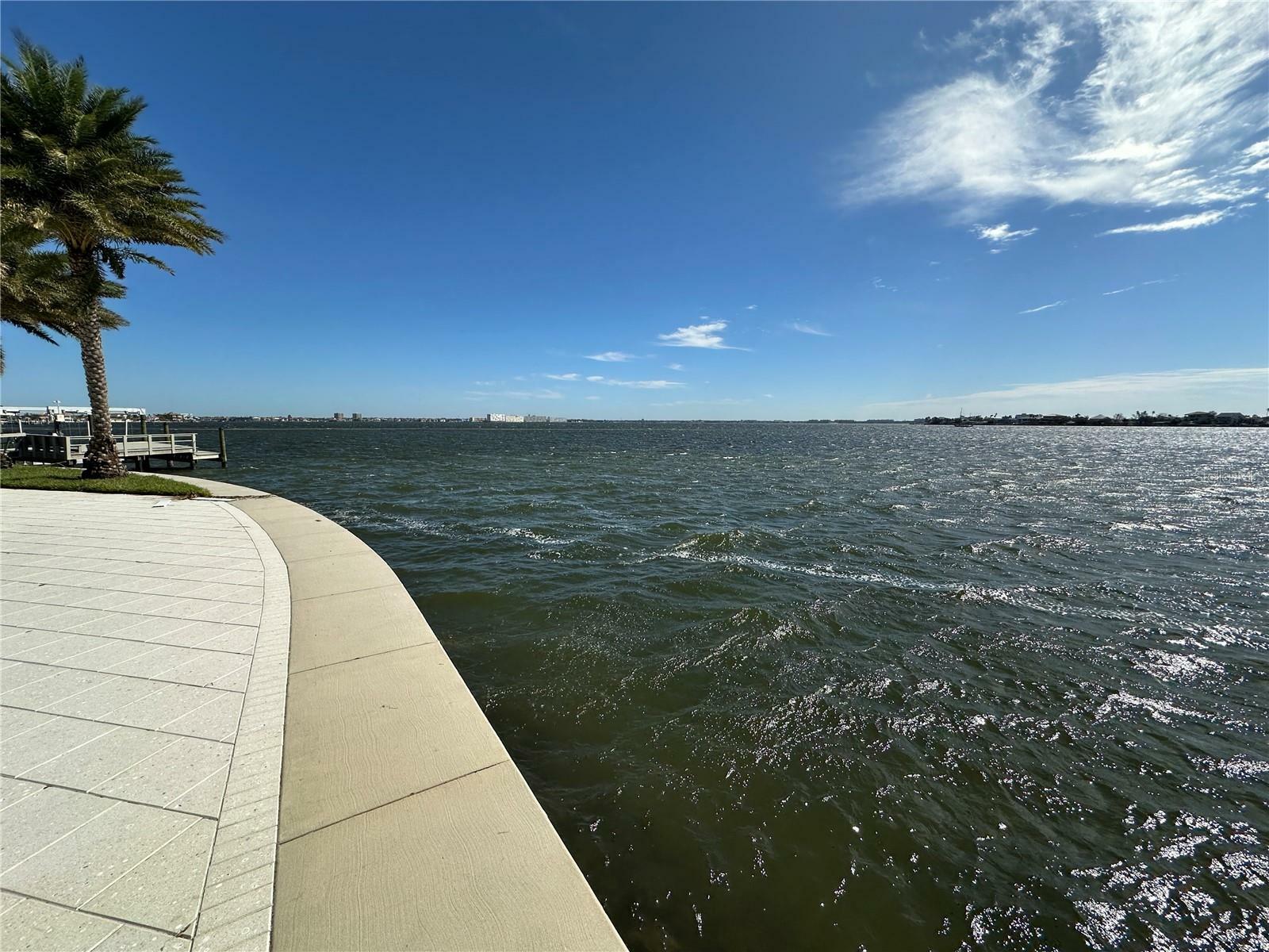 Property Photo:  239 Punta Vista Drive  FL 33706 