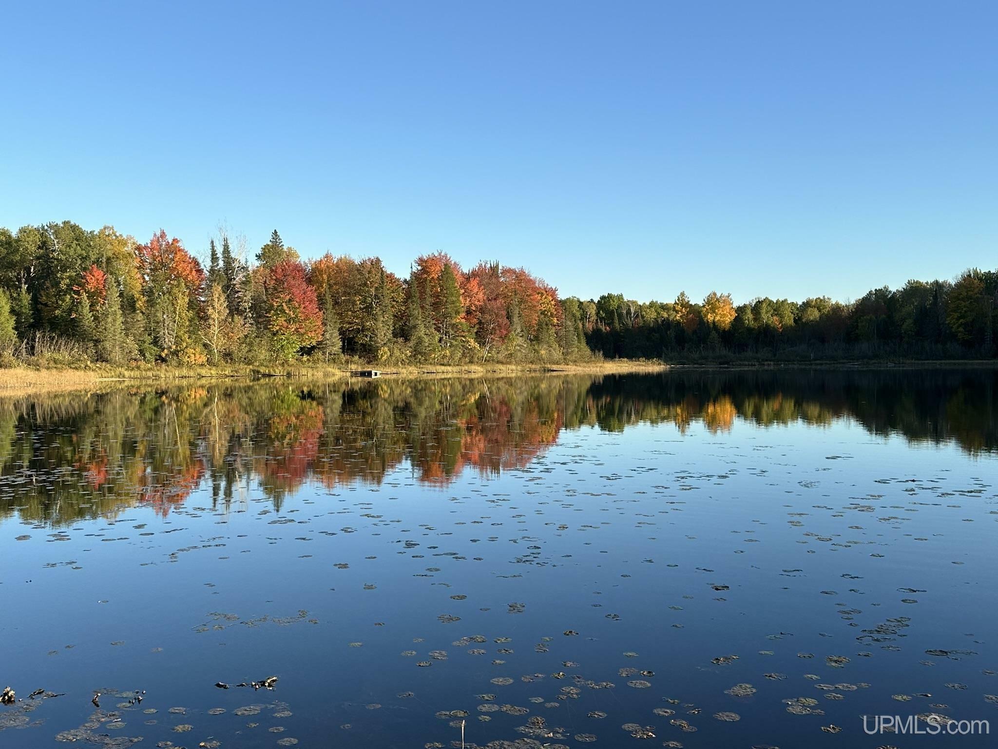 Property Photo:  Tbd Maggie Lakes Trail Trail  MI 49920 