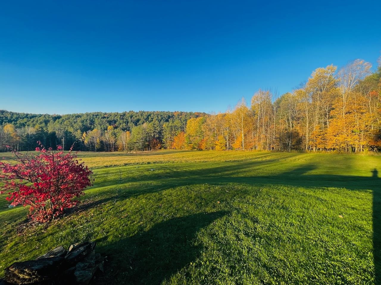 Property Photo:  88 Kibling Hill Road  VT 05077 