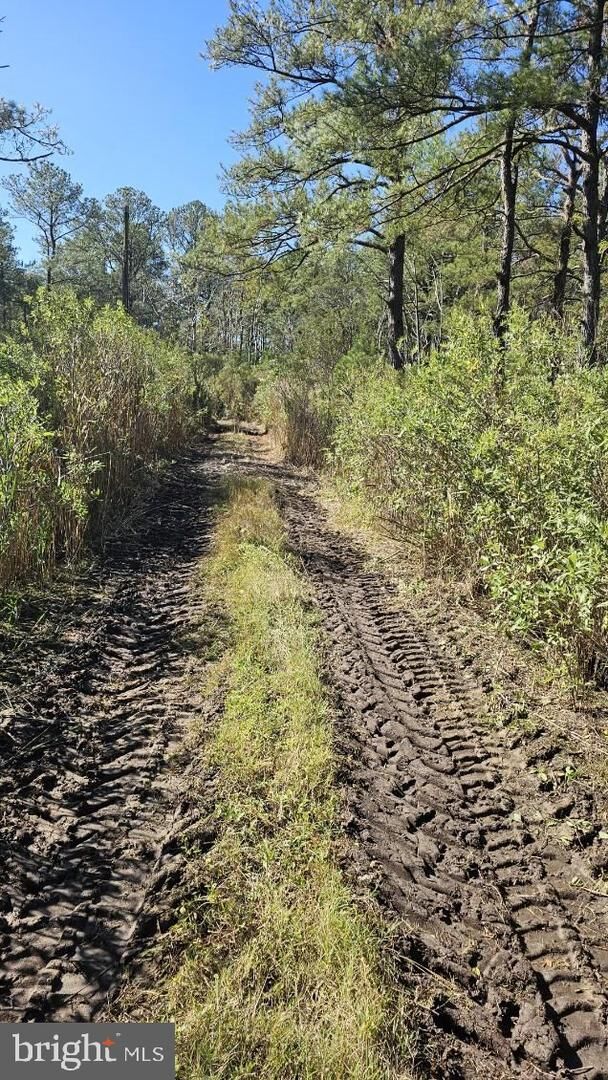 Property Photo:  0 Asbury Avenue  MD 21817 