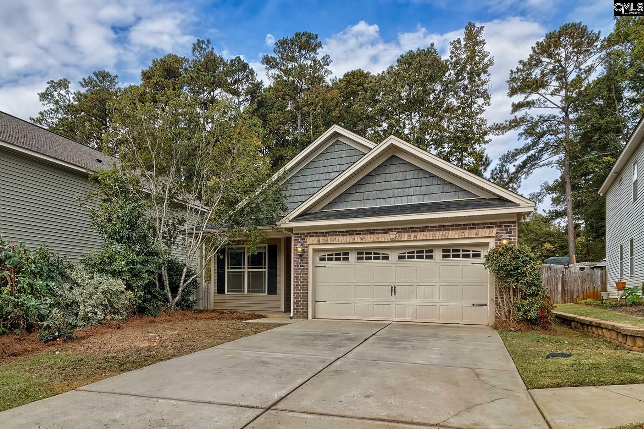 53 Revelstone Way  Chapin SC 29036 photo