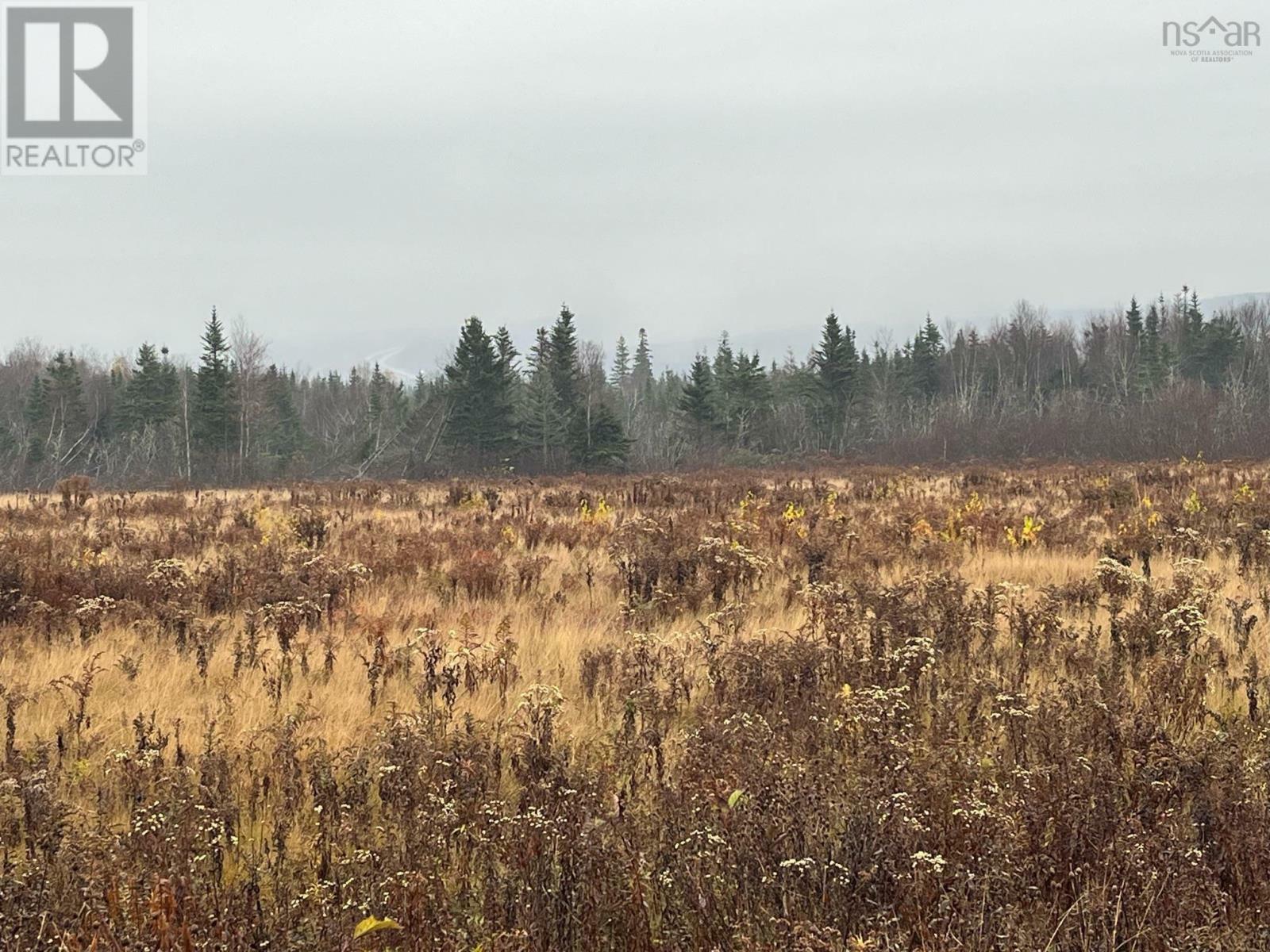 Property Photo:  Old Pictou Road  NS B6L 2L8 