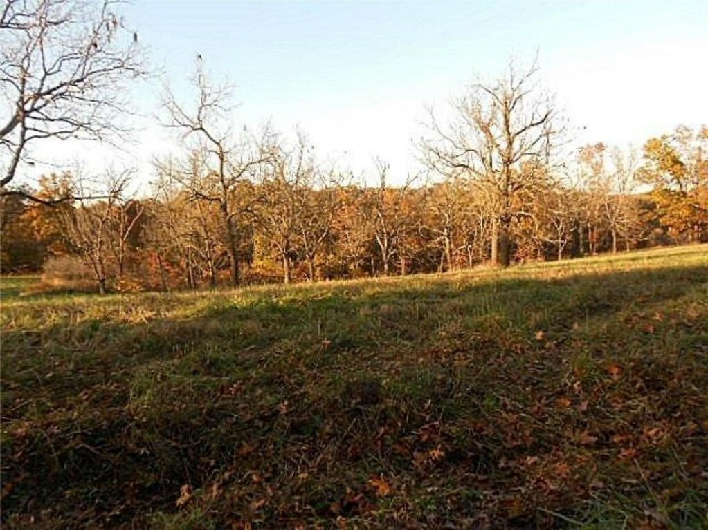 Property Photo:  Lot 10 Stagecoach Drive  MO 64856 