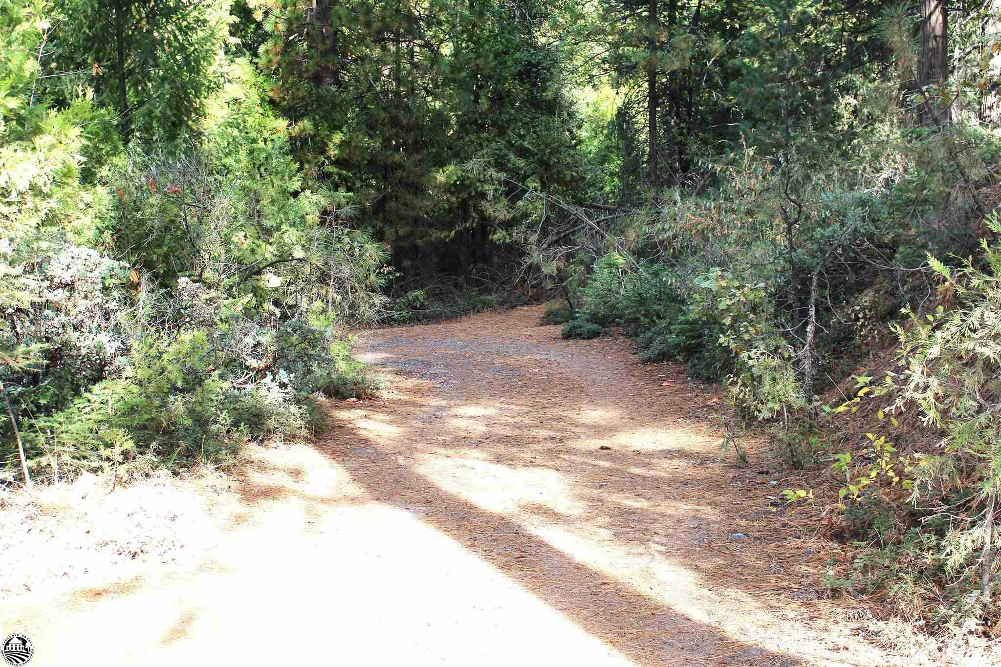 Property Photo:  24455 South Fork Road  CA 95383 