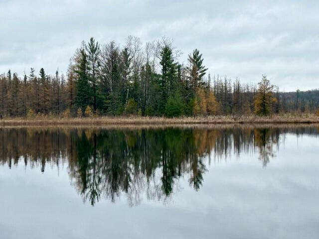 Property Photo: 9354 W Highway MI 49743