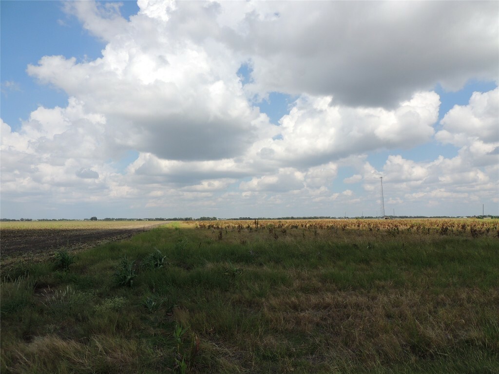 Property Photo:  3374 County Road 405  TX 76574 