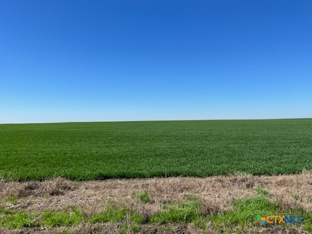 Tract 3 County Rd 355  Rosebud TX 76519 photo