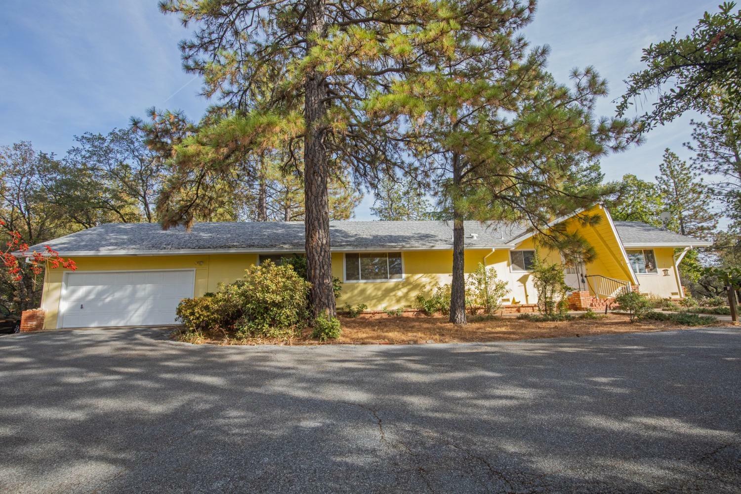 2381 Big Canyon Creek Road  Placerville CA 95667 photo